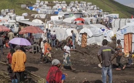 RD – Congo: 7 Millions de déplacés vivent dans des conditions difficiles
