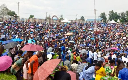 Imirimo yo kujyanisha kwa 'Yezu Nyirimpuhwe' n'amabwiriza ya RGB irarimbanyije