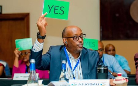 Shema Fabrice  yiyamamarije kuyobora FERWAFA