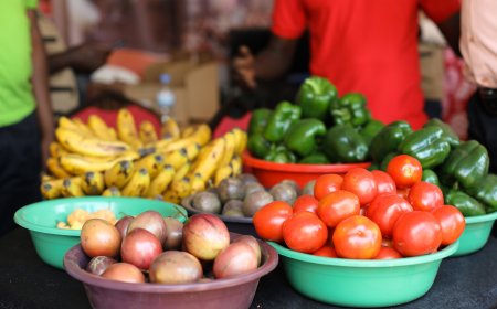 Amafoto: Ibikomoka ku Buhinzi n'Ubworozi byiganje mu Imurikabikorwa ry'Akarere ka Gakenke