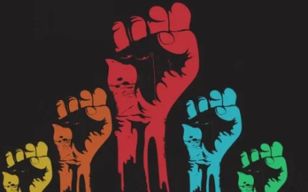What Rwanda did to establish human rights for past 31 years
