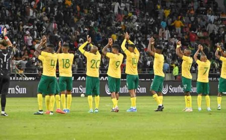 Bafana Bafana return to World Cup after 16 years as Senegal and Côte d’Ivoire also qualify