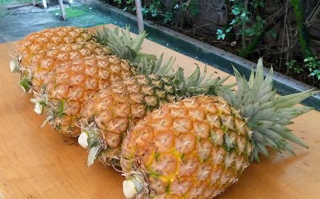 Nyamagabe to host World Food Day 2025, promoting better Agrifood system transformation