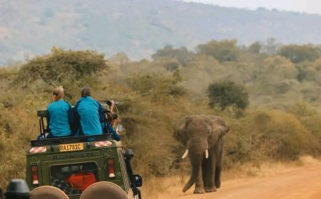 National Geographic yashishikarije Abakerarugendo gusura Pariki y'Akagera mu 2026