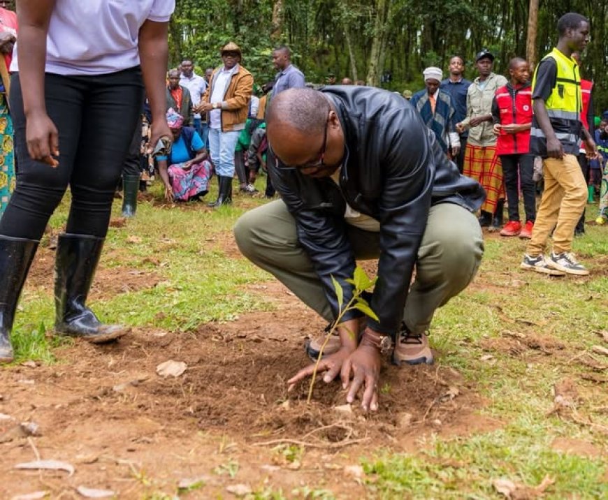 Karongi: Minisitiri w'Intebe yitabiriye Umuganda watewemo Ibiti 5,000 (Amafoto)