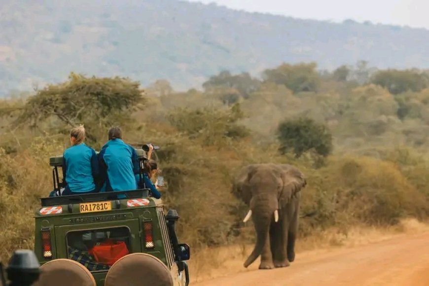 National Geographic yashishikarije Abakerarugendo gusura Pariki y'Akagera mu 2026