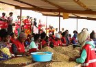 Gakenke: Abahinzi ba Kawa bishimira ko bayikesha gukirigita Ifaranga