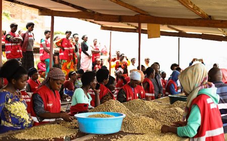Gakenke: Abahinzi ba Kawa bishimira ko bayikesha gukirigita Ifaranga