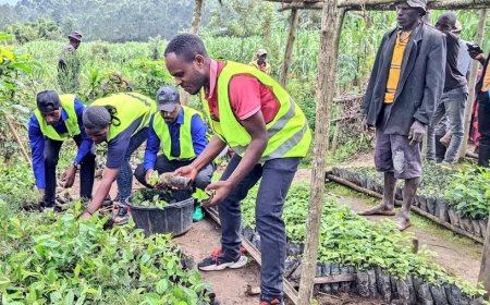 Gakenke: Urubyiruko rwasabwe kugira uruhare mu kubungabunga Ibidukikije