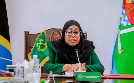 Tanzaniya: Perezida Suluhu yashyize umukobwa we n'umukwe we muri Guverinoma