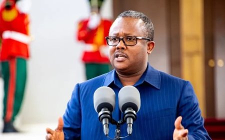 Guinea-Bissau's President Embalo deposed as military officers announce takeover