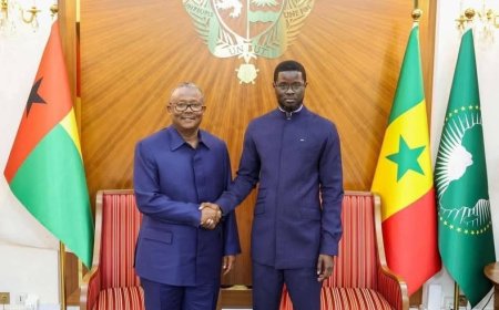 Ousted Guinea-Bissau’s Umaro Sissoco Embaló flees to Senegal after Coup