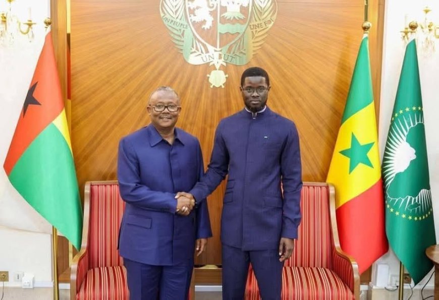 Ousted Guinea-Bissau’s Umaro Sissoco Embaló flees to Senegal after Coup