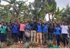 Gicumbi: Urubyiruko rwitabiriye guhinga Inanasi zihanganira imihindagurikire y'ibihe