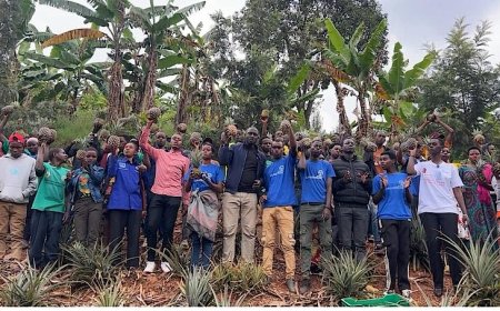 Gicumbi: Urubyiruko rwitabiriye guhinga Inanasi zihanganira imihindagurikire y'ibihe