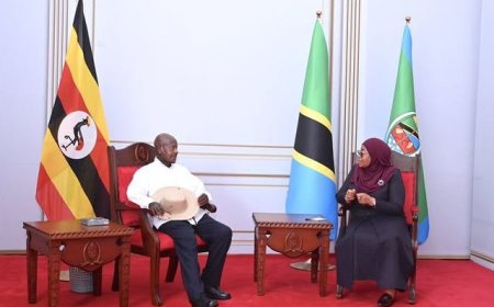 Museveni, Samia hold high-level talks in Dar es Salaam (Photos)