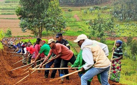 Burera: Abakorera ubuhinzi mu Gishanga cya Nyirabirande bakanguriwe serivise zo kwizigamira zirimo na EjoHeza