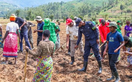Gakenke: Bakanguriwe gushinganisha ibihingwa mu kwirinda ingaruka z’imindagurikire y’ibihe