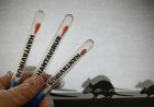 What we know about Hantavirus outbreak amid Global Health concerns