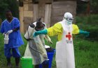 WHO warns Ebola outbreak reaches 600 suspected cases, 139 deaths