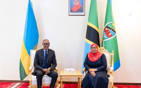 Dar es Salaam: Ibyavugiwe mu kiganiro kihariye ‘Kagame yagiranye Samia’