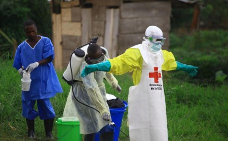 WHO warns Ebola outbreak reaches 600 suspected cases, 139 deaths