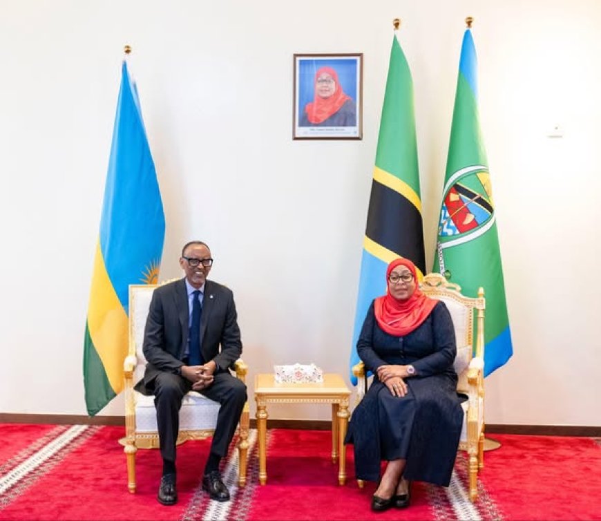 Dar es Salaam: Ibyavugiwe mu kiganiro kihariye ‘Kagame yagiranye Samia’