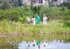 Rwanda: Nyandungu Eco-Park to host landmark global arts and conservation festival