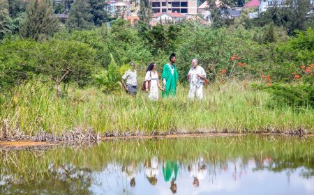 Rwanda: Nyandungu Eco-Park to host landmark global arts and conservation festival