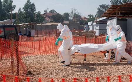 UN yavuze ko ‘Ebola’ ishobora guhombya Afurika Miliyari 3.6$
