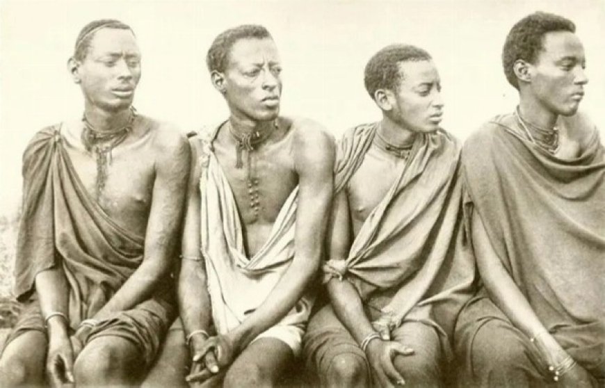 Inkomoko y’umuryango mugari w’Abazigaba, Iyororoka ry’Abanyarwanda n’imiryango migari ibakomokaho