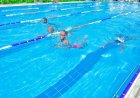 PHOTOS: Les Dauphins conclude 2026 Swimming Camp as new talents emerge
