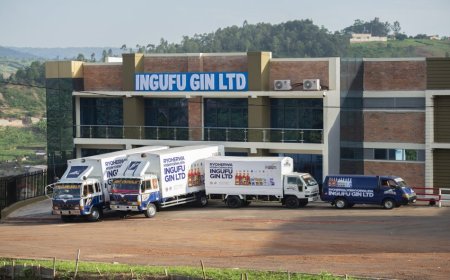 Ingufu Gin Ltd leads eight manufacturers closed by Rwanda FDA