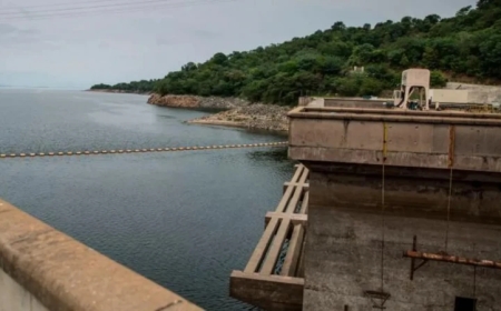44 dead after overcrowded ferry capsizes on Zimbabwe’s Lake Kariba