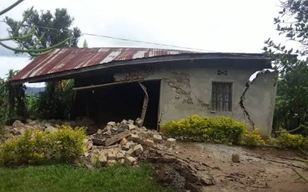 How to stay safe during an earthquake