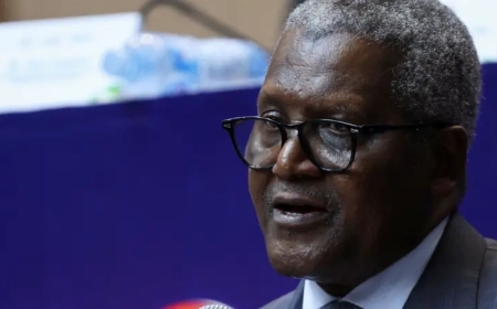 Dangote launches record IPO for Africa’s giant oil refinery