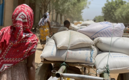 Sudan: WFP warns funding shortage could force further aid cuts