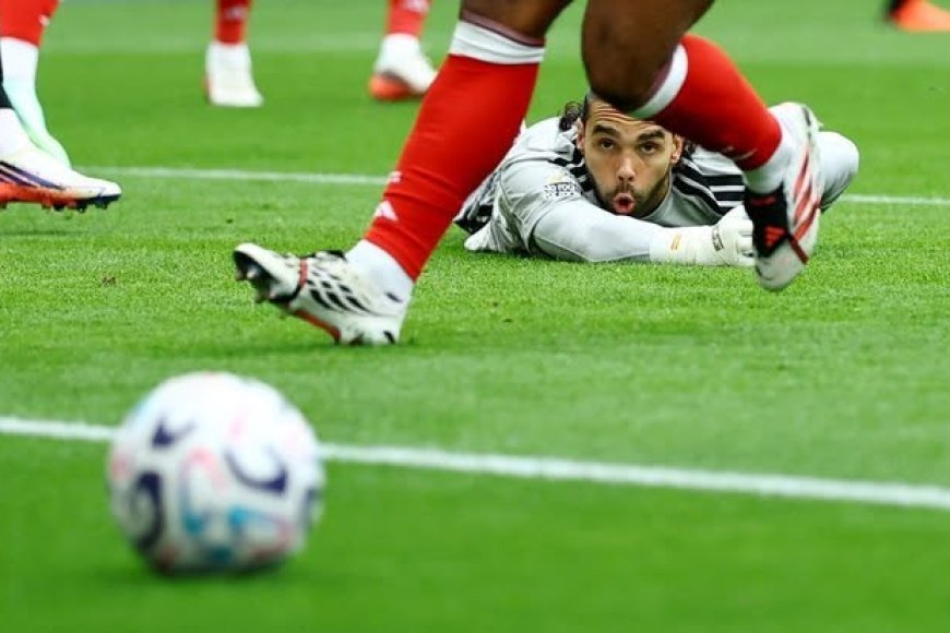 PHOTOS: Brighton hand Arsenal first Premier League defeat