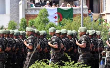 Algeria approves historic Niger Military mission