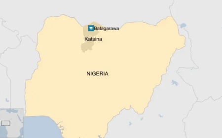 Nigeria investigates drug administration after 64 students fall ill